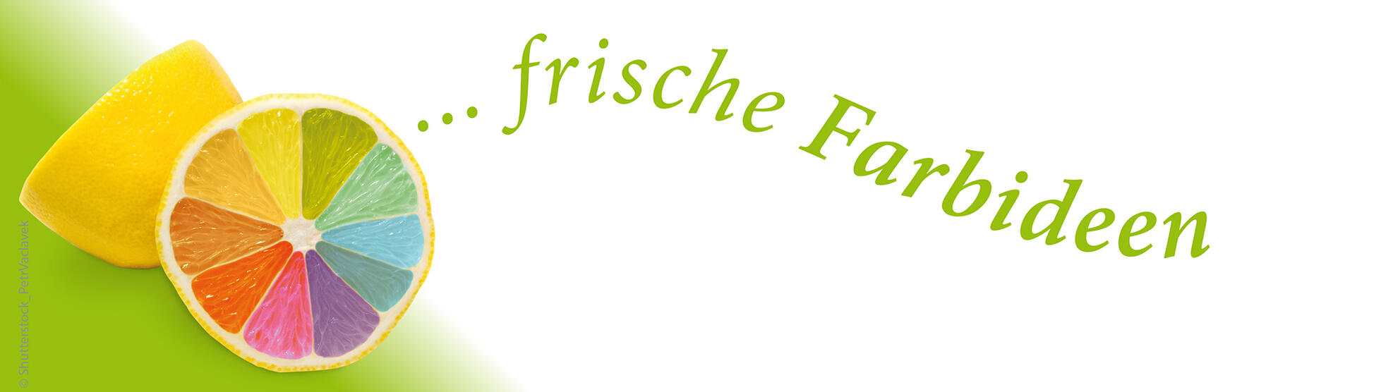 Header Startseite
